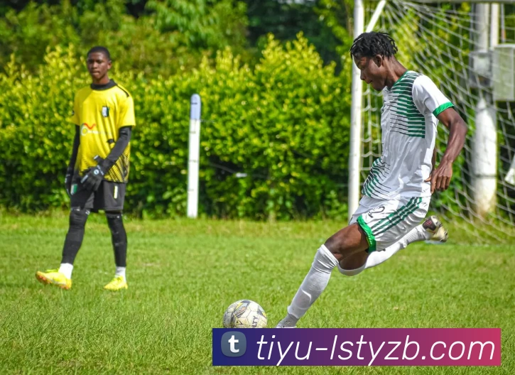 雷速体育直播服务体系